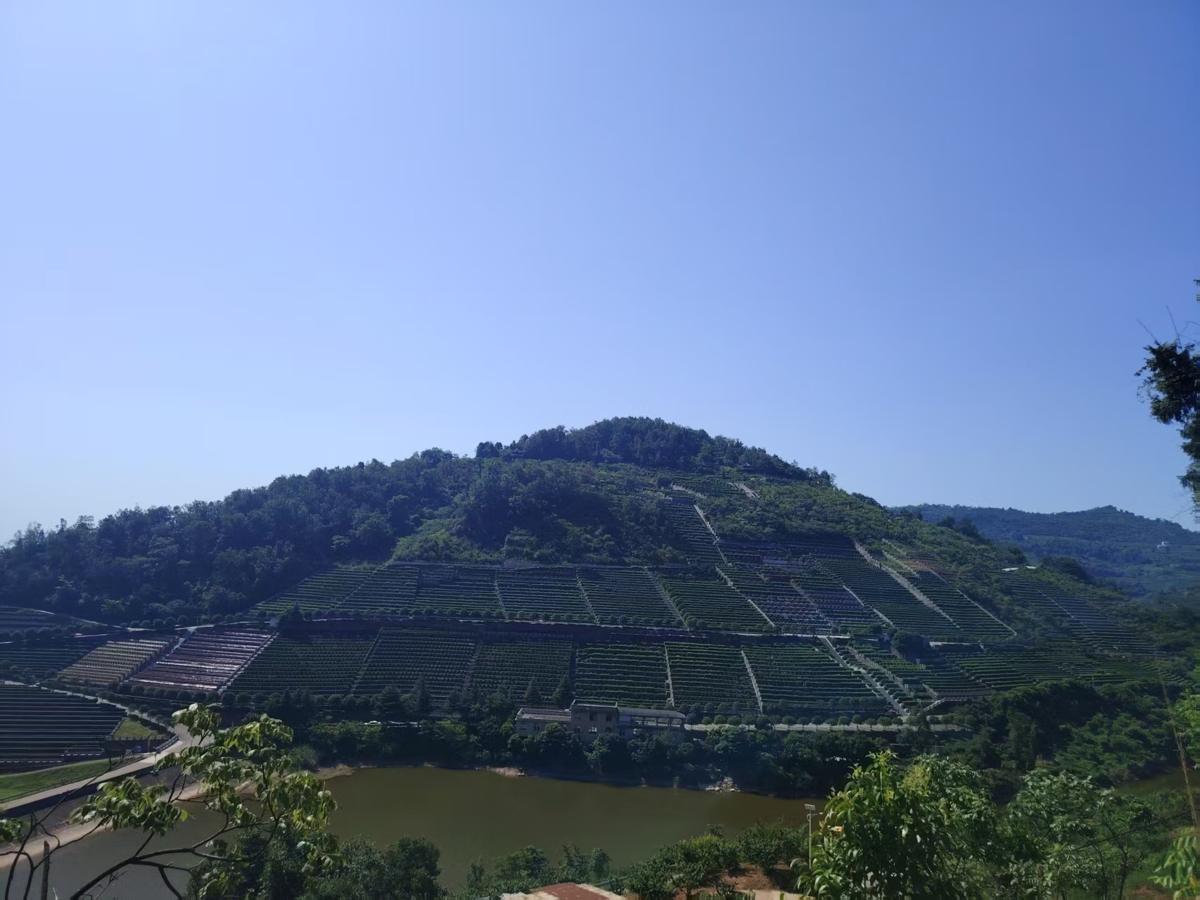 陵园实景