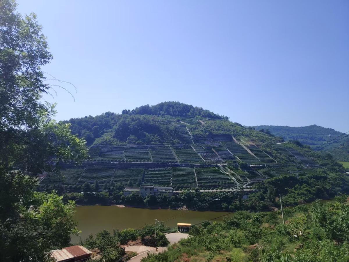 陵园实景
