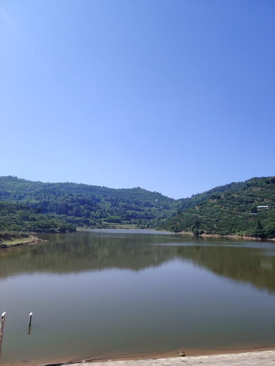 陵园实景