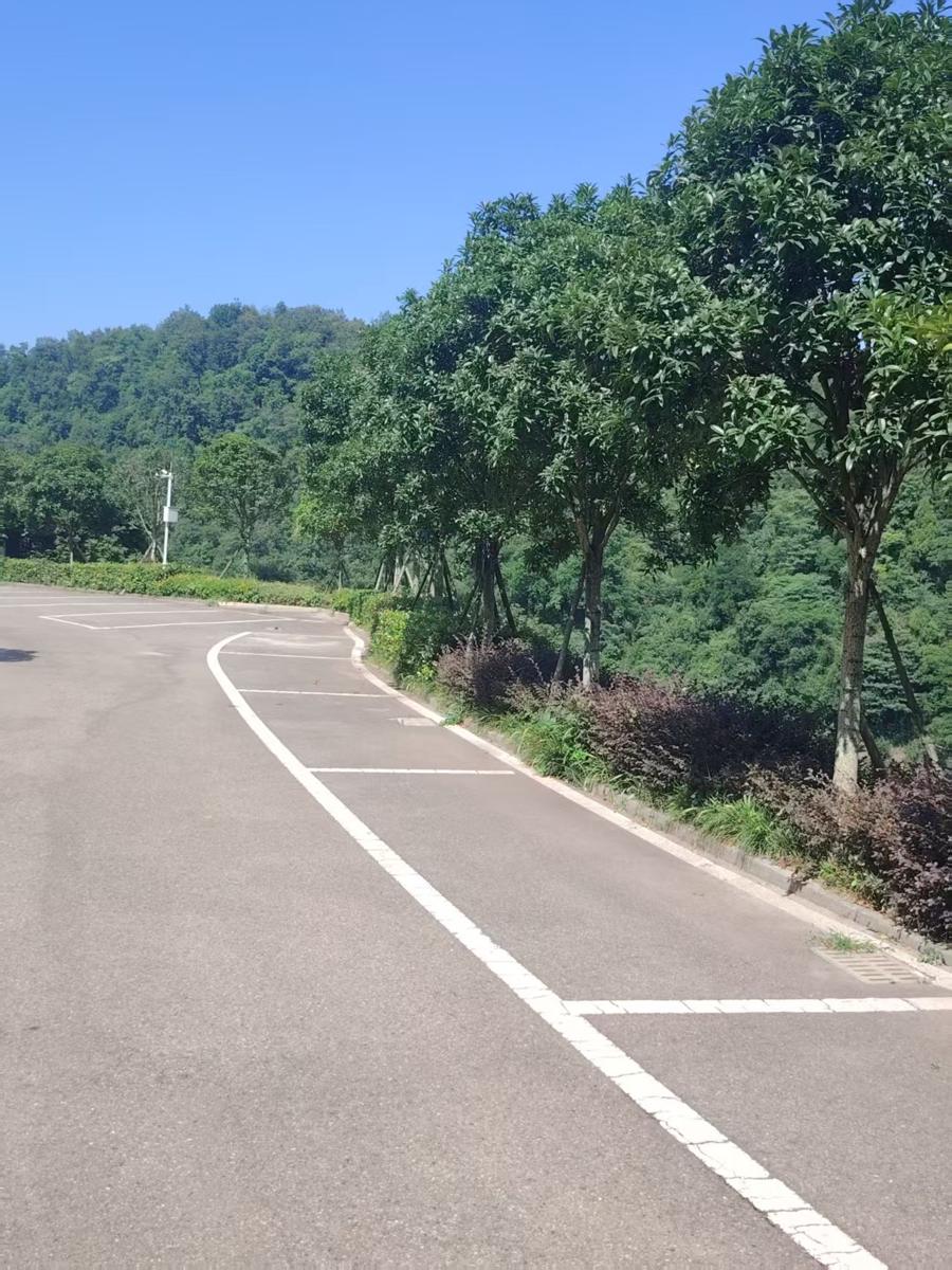 陵园实景